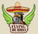 Flying Burro